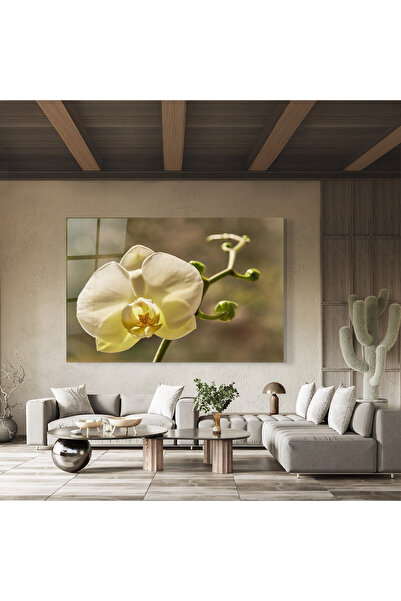 Arthub Glass Painting, Bedroom and Living Room, Orchid, Pastel Yellow Orchid In Garden