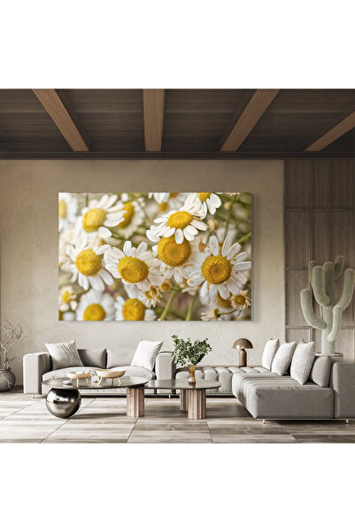 Arthub Glass Painting, Bedroom and Living Room, Daisies, Daisy Wall
