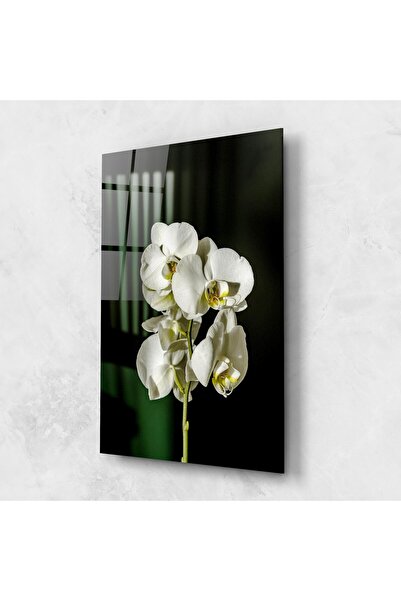 Arthub Tablou Sticla,Dormitor si Living, Orhidee, Orchid On Green