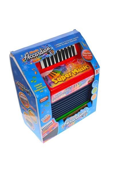 Toy Acordeon cu baterii pentru copii