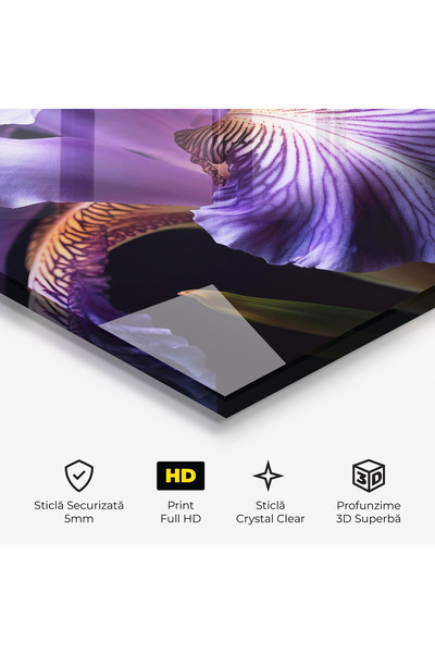 Arthub Glass Painting, Bedroom and Living Room, Iris, Iris Beautiful Close Up