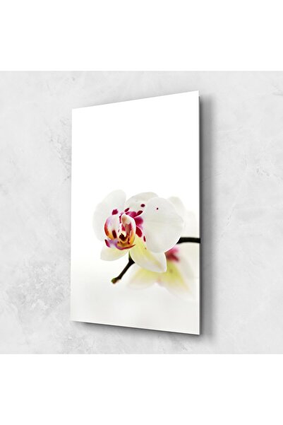 Arthub Glass Painting, Bedroom and Living Room, Orchid, Clean White Orchid