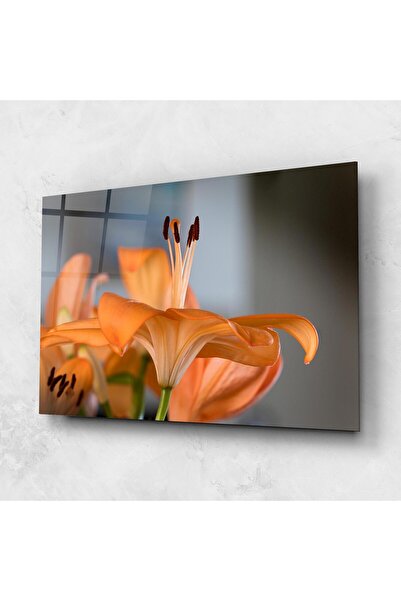 Arthub Tablou Sticla,Dormitor si Living, Crini, Open Orange Lily