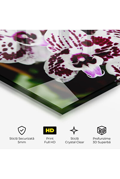 Arthub Glass Painting, Bedroom and Living Room, Orchids, Dark Purple Orchids