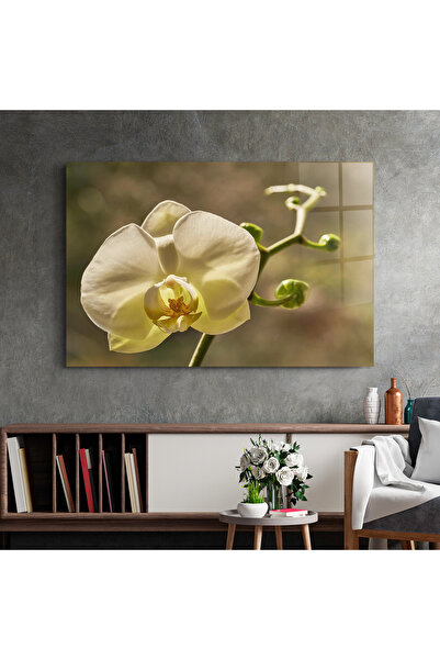Arthub Glass Painting, Bedroom and Living Room, Orchid, Pastel Yellow Orchid In Garden