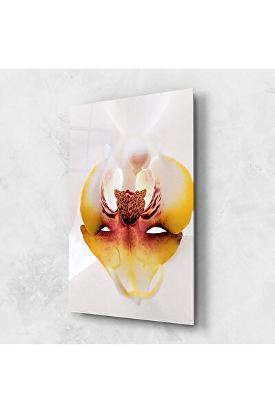 Arthub Tablou Sticla,Dormitor si Living, Orhidee, Orchid Close Up