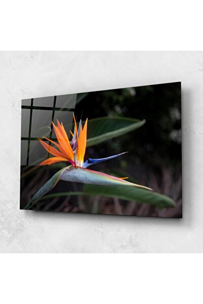 Arthub Glass Painting, Bedroom and Living Room, Exotic Flowers, Paradise Plant