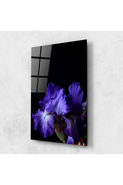 Arthub Tablou Sticla,Dormitor si Living, Iris, Dark Purple Iris On Black