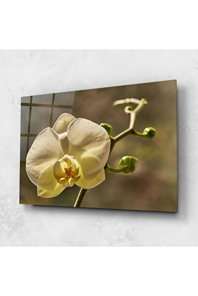 Arthub Glass Painting, Bedroom and Living Room, Orchid, Pastel Yellow Orchid In Garden