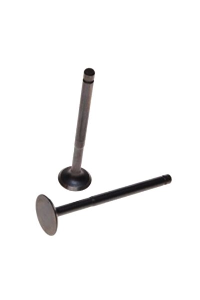 Wilmat Set supape Piaggio ZIPP 4T