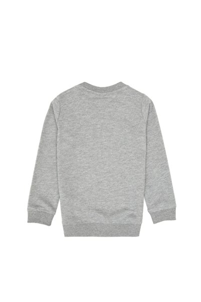 U.S. Polo Assn. U.S. Polo Assn. Crew Neck Basic Boys' Sweatshirt