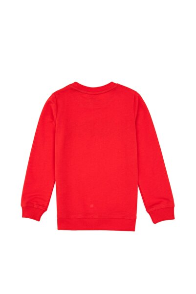 U.S. Polo Assn. U.S. Polo Assn. Boys' Regular Fit Uspa Printed Basic Sweatshirt