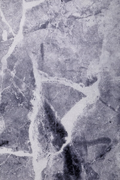 Dijidekor Digital Oval Fringeless Carpet Modern Designed Gray Color Erasable Floor Mat 160X200