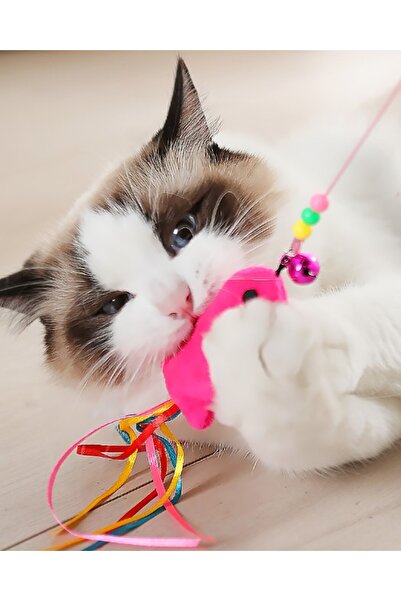 Poçi's World Cat with Fish Game Rod 90 Cm