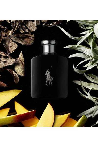 Ralph Lauren Polo Black Perfume 125ml