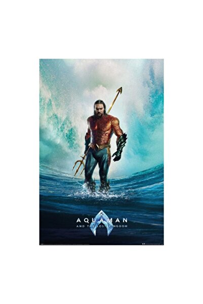 Pyramid International Aquaman and the lost Kingdom Poster Pack Tempest 61 x 91 cm