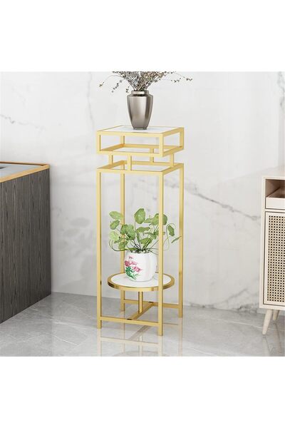 Generic Style Side Table Tall Plant Display Stand Double Tier (30×30×70cm, Gold)