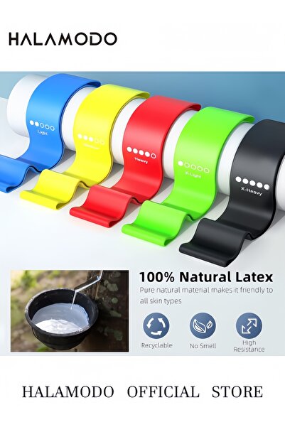 HALAMODO Resistance Bands for Working Out, Elastic Exercice Loop Bands for Physical Therapy, Yoga Starter