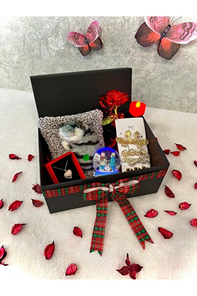 Laydy Collection Yılbaşı Özel Hediyelik Kutu ( Sesli Uyuyan Kedili )