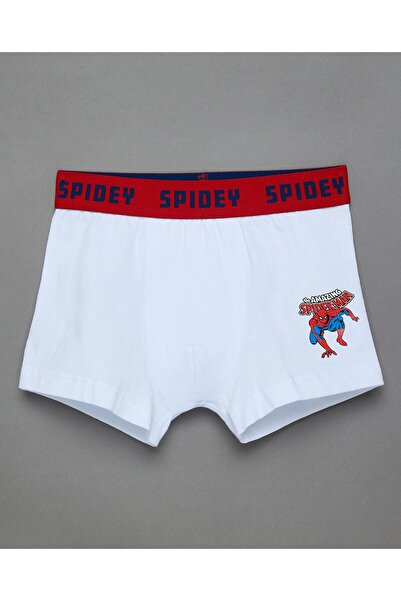 R&B 3 Pack Spiderman Printed Boxers