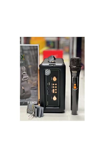 Brodu Portable audio speaker, premium leather finish, 20 W, RGB lights, wireless mic, Bluetooth 5.4, USB/U