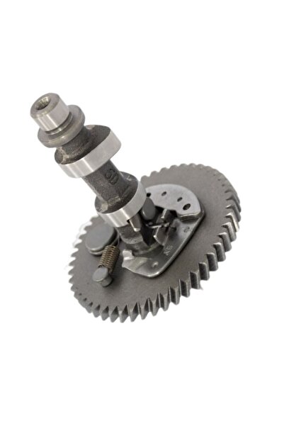 RURIS Arbore cu came pentru cultivatorul motorului 731k