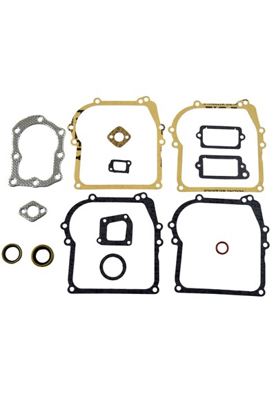 Garden Parts Set garnituri Briggs&Stratton 450 500 Classic