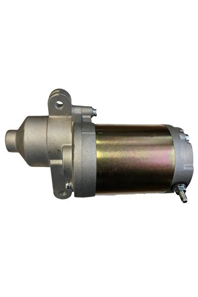 Garden Parts Motor electric Zongshen XP420, Mtd Thorx