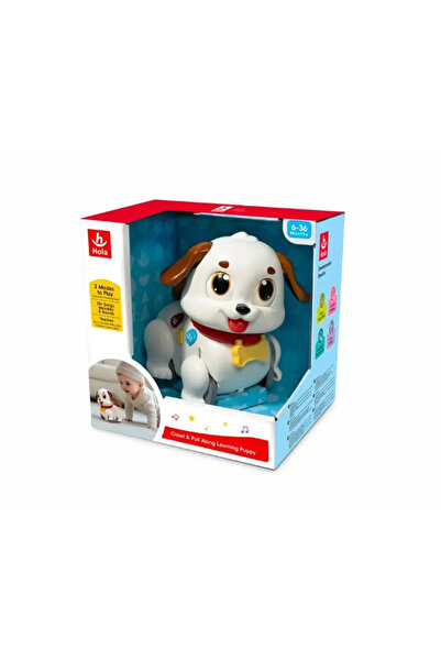 Jucarii Bebe CATELUS INTERACTIV CU SUNETE SI LUMINI