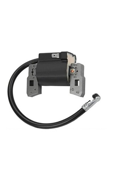 Garden Parts Bobină de inducție Briggs&Stratton de 5 CP