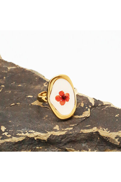 Shine of Magic Jewelry خاتم أريديا |   خاتم فولاذي