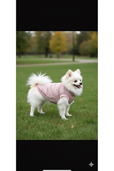 KÖPEK KIYAFETİ