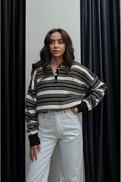 Havoş Καφέ πουλόβερ με ριγέ γιακά πόλο Greg