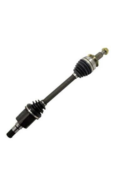 Saf Reverse left Accent 12 - Chinese