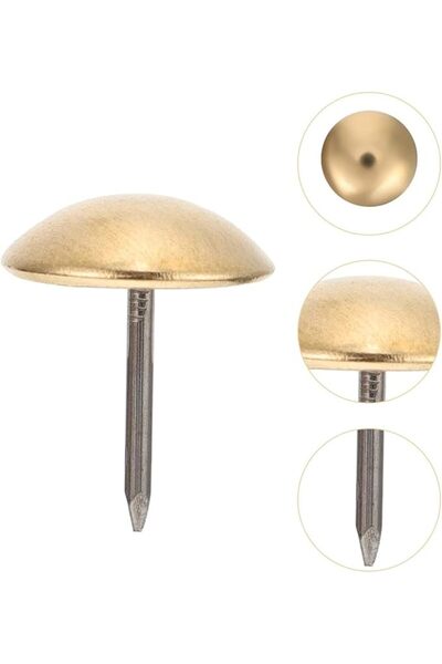 Raco مسامير أقدام الأثاث - واقيات أثاث مستديرة مثبتة بمسامير، 50 قطعة، 16 مم نحاس