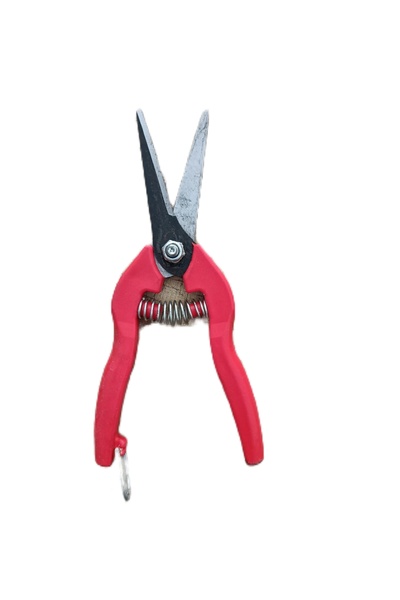 KAMER Yaylı üzüm kesme makası