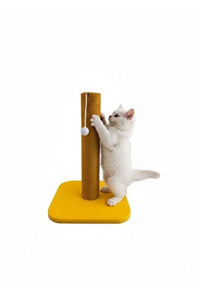 Shiny Desing Kedi Tırmalama Tahtası