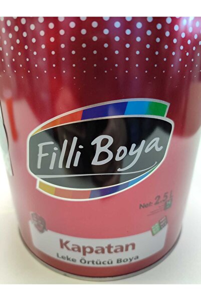 Filli Boya Kapatan Leke küf is Örtücü Sentetik Boya 2.5L