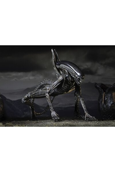 OEM Xenomorph Figurine, PVC, Articulated, 18 cm, Black