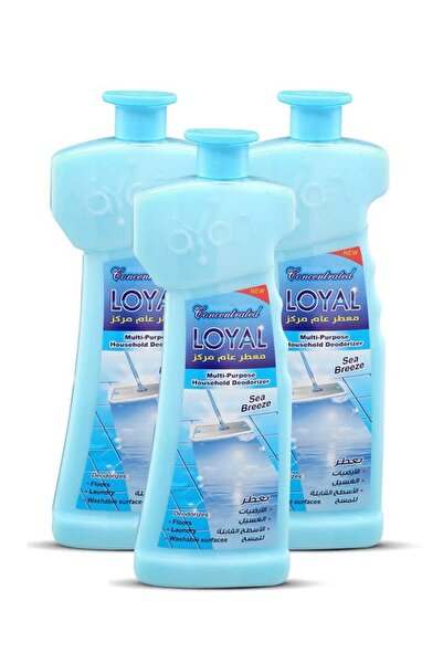 Loyal Multi-Purpose Household Deodorizer Concentrated Gel, Sea Breeze, 3x700ml