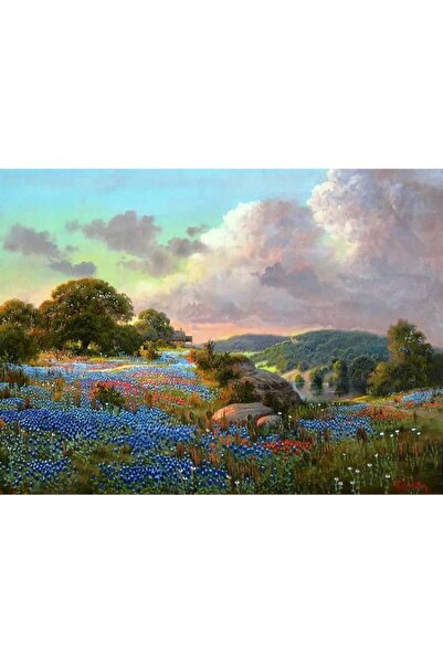 Junios Диамантена картина - Мечта с диви цветя, 5D, дървена рамка, 40 x 50 см...