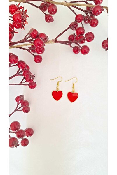 SOUL BY A&B Red Heart Earrings Stylish Dangle Earrings New Year's