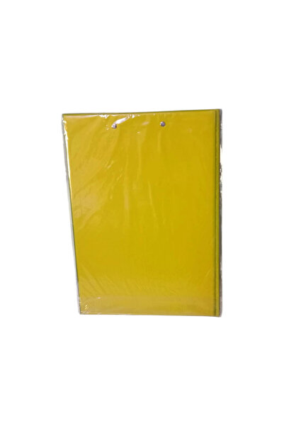 Linea غلاف A4 لدفتر السكرتارية هاسات ساري