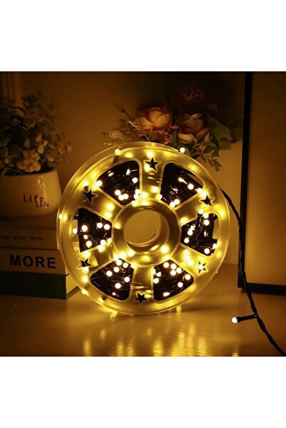 LUISA FIORE Linear LED installation, with 480 LEDs, 50 m long, Warm White