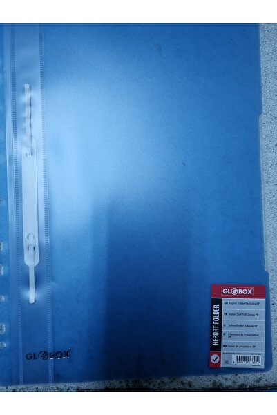 Globox 6891 Hole Punched Wire Binder 12-Pack Blue