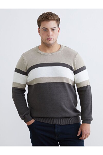 LC Waikiki LCWAIKIKI Classic guler rotund bloc de culoare Pulover pentru bărbați