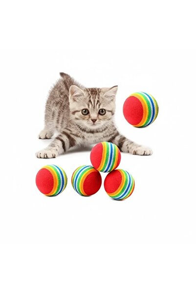 EFRUNS Kedi Köpek sünger Çiğneme Ve Oyun Topu 3 Adet