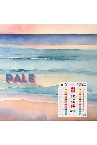 Art & Art Rich Art-X Acrylic Duo Marker Dual Tip Water-Based Painting Pen 12 Colors Pale Series