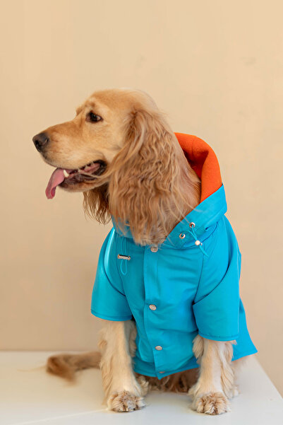 Lorico Dog Raincoat and Sweatshirt Two-Pack