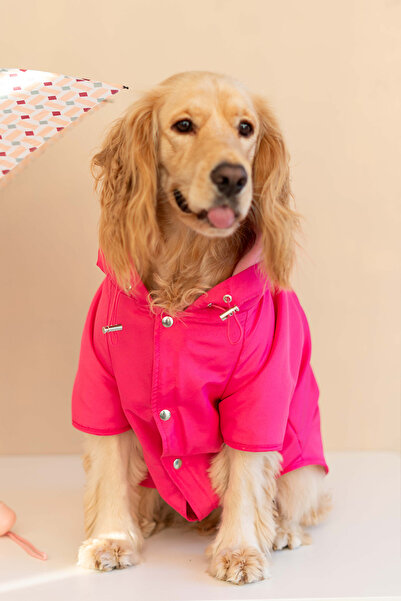 Lorico Dog Raincoat and Sweatshirt Two-Pack